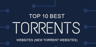 piracy websites