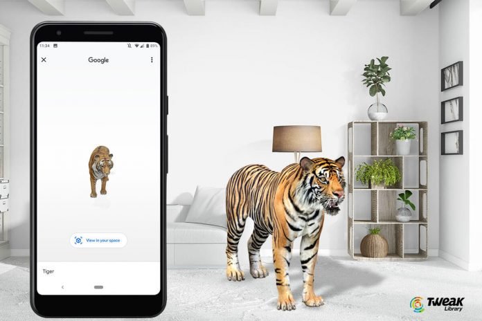 Google 3D Animals View Feature