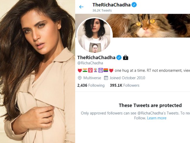 Richa Chadha Makes Her Twitter Account Private