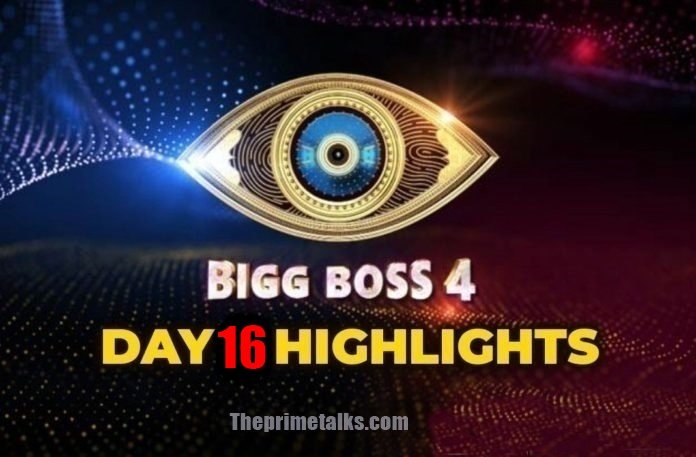 Bigg Boss Telugu 4 Day 16 Episode Highlights