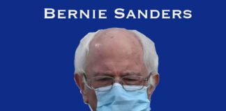 Bernie sanders memes viral