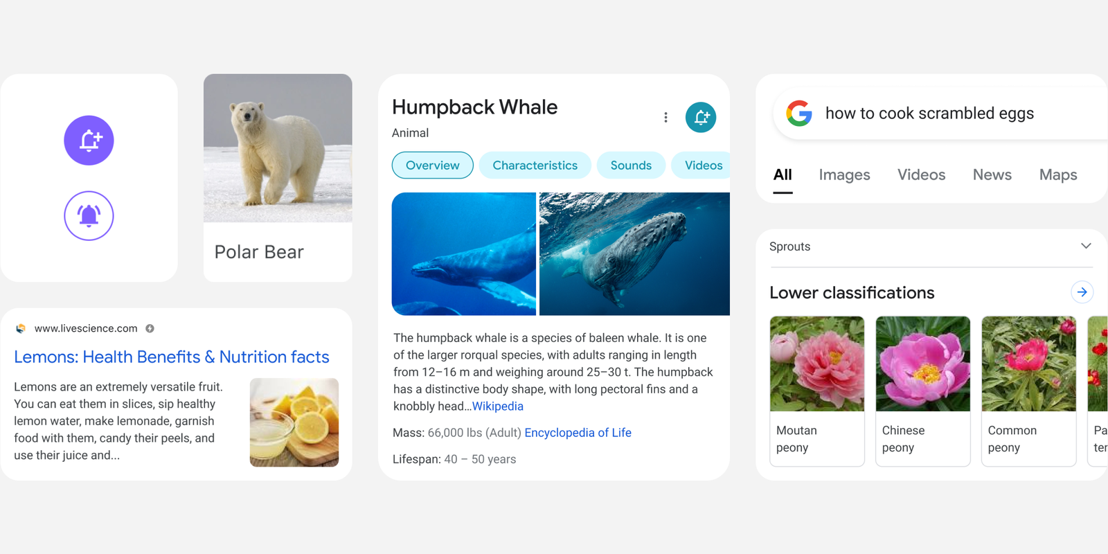 Google redesigns mobile search results on android and ios for user experience