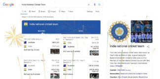 India national cricket team test series victory against australia celebrated with virtual fireworks on google