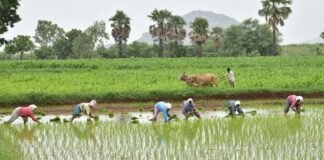 Farmers protest in telangana against agri laws
