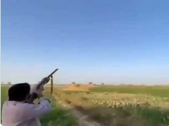 Man shoots bird