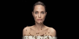 Angelina jolie posed with bees for 18 mins to raise awareness on world bee day