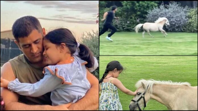 Ms dhoni race with horse video