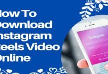 How To Download Instagram Reels Video Online