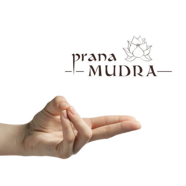 Prana mudra